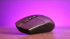 Is the G305 Lightspeed the fingertip grip mouse you need?