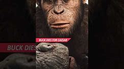 Buck, The Gorilla, Dies To Save Caesar From The Bullets To Keep The Straggle On Going #movie