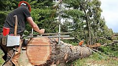 How To Chainsaw Milll Like A PROFESSIONAL HOMEOWNER WRANGLERSTAR