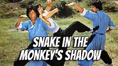 Wu Tang Collection - Snake in the Monkey's Shadow (widescreen)