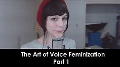 The Art of Voice Feminization | Part 1: Overview, Acoustic Resonance, and A Conceptual Framework