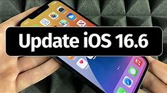 How to Update iPhone 13, iPhone 13 mini, iPhone 13 Pro, iPhone 13 Pro Max to iOS 16.6