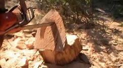 Chain saw carving
