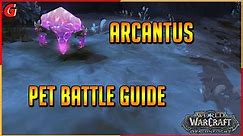 Arcantus Pet Battle Guide - Dragonflight
