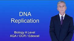 A Level Biology Revision "DNA Replication"