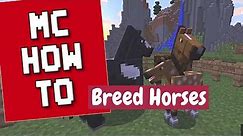 How To Breed Horses/How to Breed Donkeys - Minecraft Tutorial