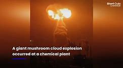 Giant mushroom cloud explosion engulfs chemical plant in China
