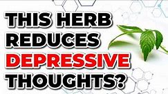 Reduce depression with this herb: Jiaogulan (Gynostemma pentaphyllum)