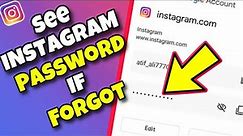 How To See Your Instagram Account Password if You Forgot it