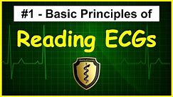 ECG/EKG Interpretation Tutorial - Episode 1 - Basic Principles