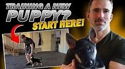 First Step to Training Your New Puppy!