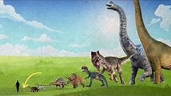 Comparing the size of dinosaurs - from smallest to largest