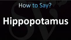 How to Pronounce Hippopotamus (correctly!)