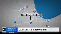 Suspect arrested in connection with Oak Forest fatal stabbing