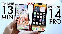 iPhone 14 Pro Vs iPhone 13 Mini! (Comparison) (Review)