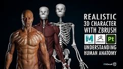 Create a Realistic 3D Character with Zbrush and Substance 3D Painter | Understanding Human Anatomy