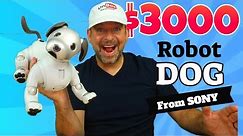 Sony Aibo a $3000 Robot Dog. Comprehensive Review.
