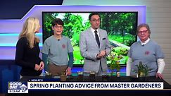 Spring planting advice from master gardeners