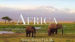 Amazing Wildlife Of AFRICA In 4K | Aerial Drone | Scenic Scenes Film
