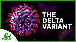 What You Need to Know About the Delta Variant