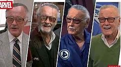 Stan Lee Cameos in Non-Marvel Media (R.I.P. 1922-2018)