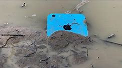 Found Apple iPhone 5c in the Mud soil | Restoration destroyed abandoned phone