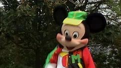 Mickey's Beach Party at Walt Disney World 60p