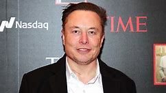 Elon Musk was on brink of death after catching malaria on South African safari, book claims