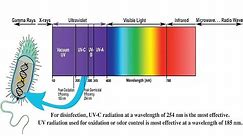 Understanding Ultraviolet UV Radiation and its Effects