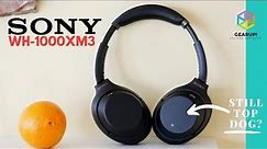 Sony WH-1000XM3 Review | The Best Work from Home ANC Headphones (until maybe the XM4)