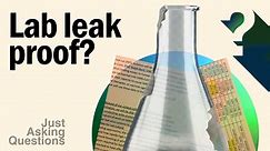 Do new documents prove a COVID lab leak?