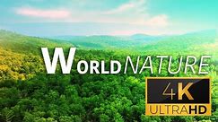 Exploring the Wonders of World Nature Ultra HD 4k