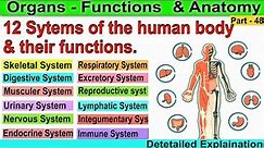 12 systems of the human body and their functions | 12 systems of the human body in English
