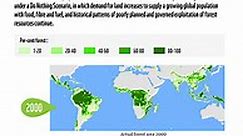 Why indigenous people are key to protecting our forests