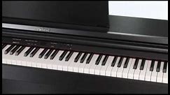 RP201 Digital Piano Overview