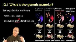 Biology: DNA is the Genetic Material