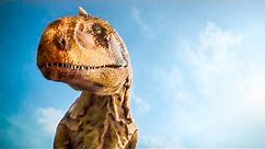 Top 5 Dinosaur Moments | BBC Earth