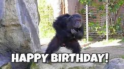 Happy Birthday Monkeys!
