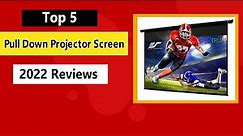Best Pull Down Projector Screen in 2023