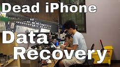 iPhone data recovery from dead logic board