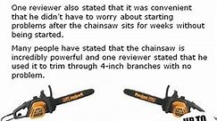 Poulan Pro 400E Horsepower Electric Chain Saw