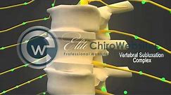 Chiropractic Educational Videos | Chiropractic Websites | Elite Chiro Websites