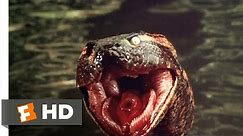 Anaconda (7/8) Movie CLIP - Anaconda at the Waterfall (1997) HD