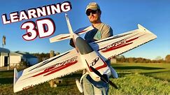 Wow Easy To Fly 3D Electric RC Plane Extra 300 Maiden Flight! - TheRcSaylors