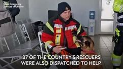 Search and Rescue Dogs From All Over the World Are Sent To Help Turkey
