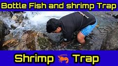 Bottle Fish and shrimp Trap