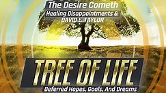 Apostle David E. Taylor - Healing Disappointments & Deferred Hopes, Goals, and Dreams