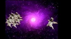 Space Sloth