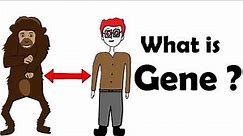 What is a gene ?