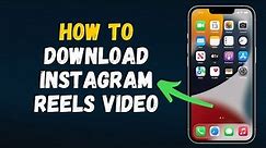 How to Download Instagram Reels video (2024)